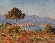 Claude Monet Antibes Seen from the Notre Dame Plateau oil painting picture wholesale